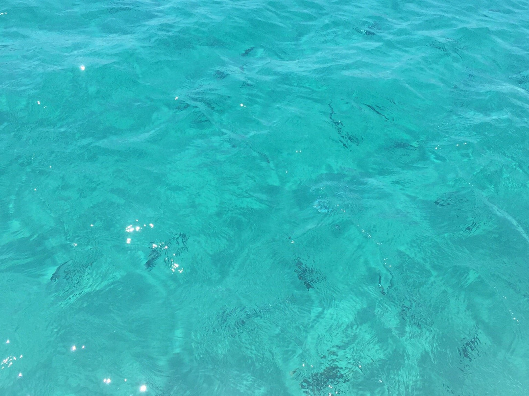 Flying Cruiser-阿利坎特省必去景点