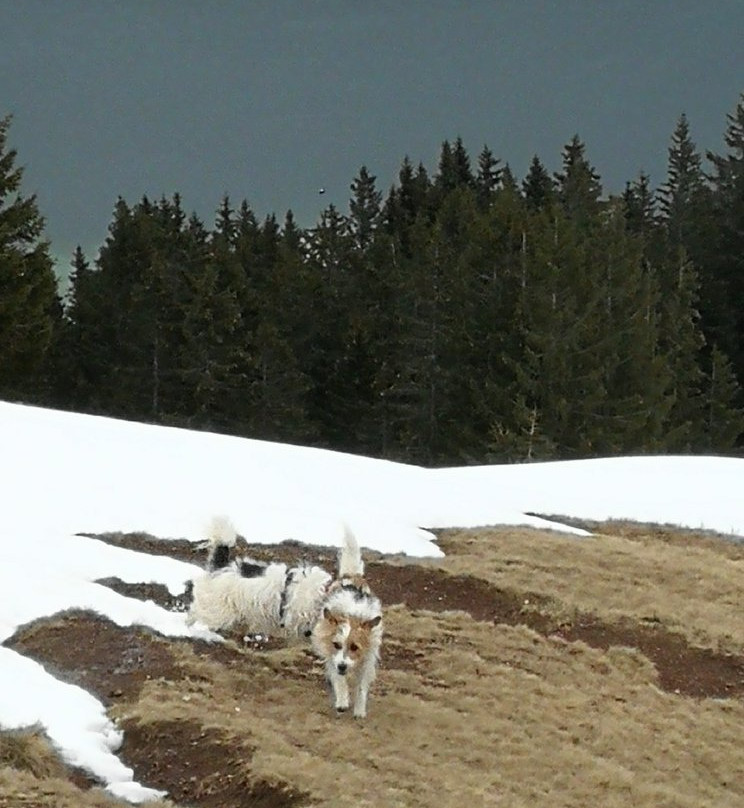 Krinnalplift景点图片