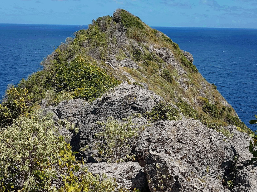 Pointe de la Grande Vigie-Anse-Bertrand必去景点