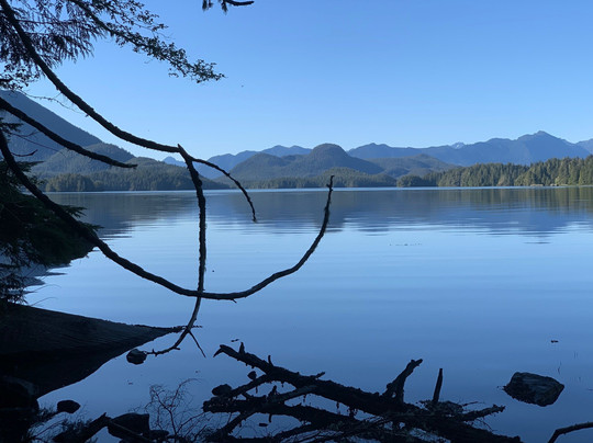 T'ashii Paddle School-托菲诺必去景点