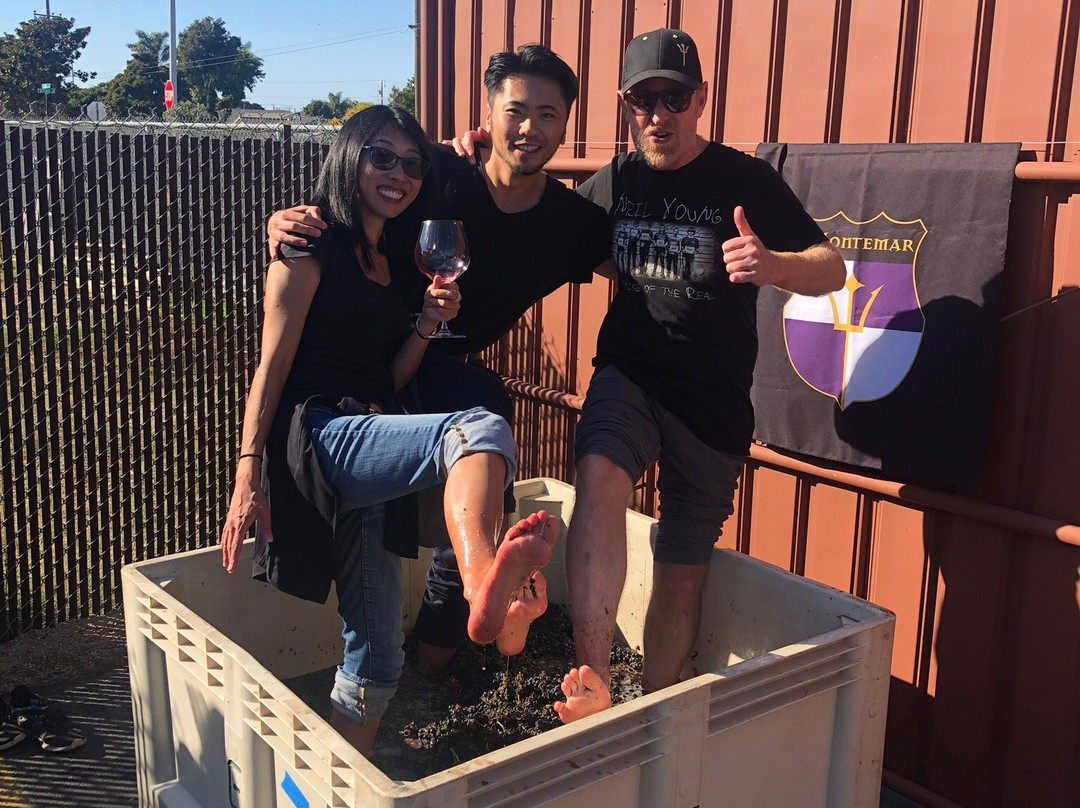 Montemar Wines-隆波克必去景点