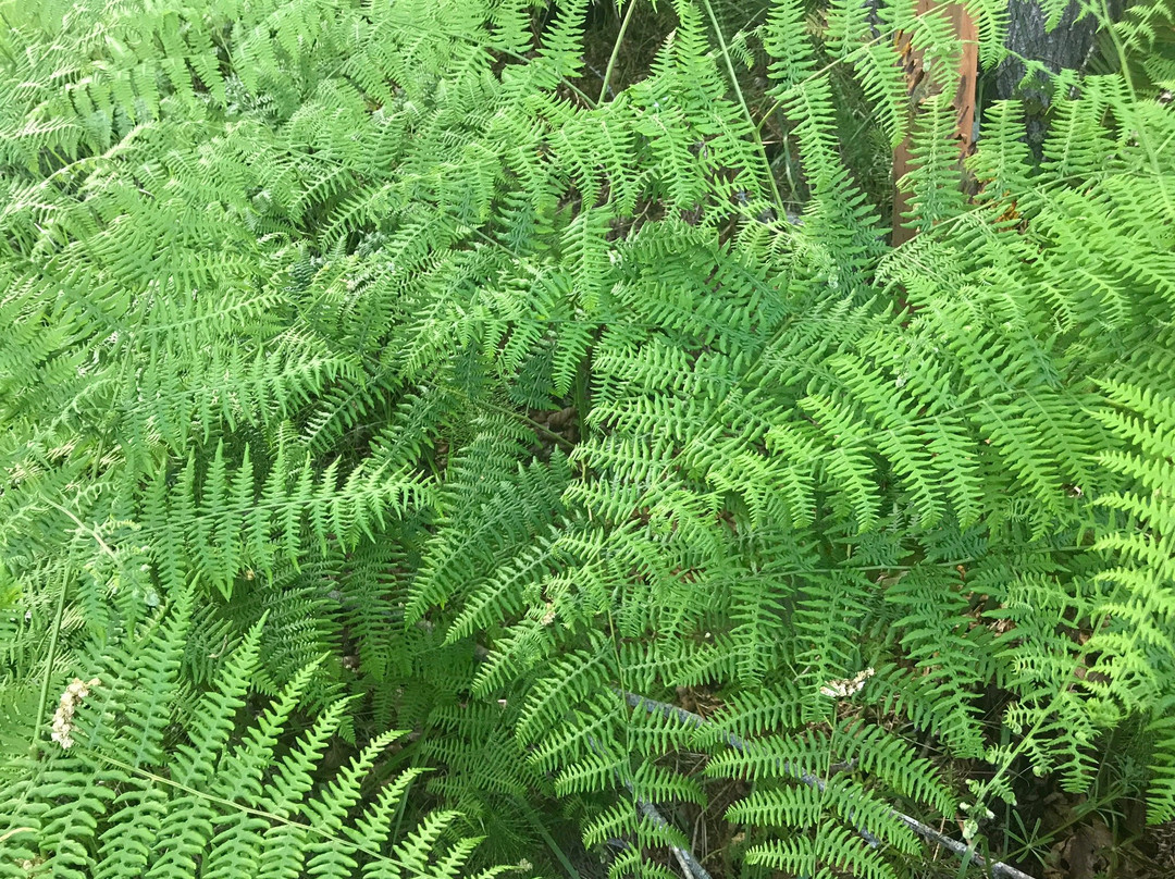 Earth Sanctuary-Langley必去景点