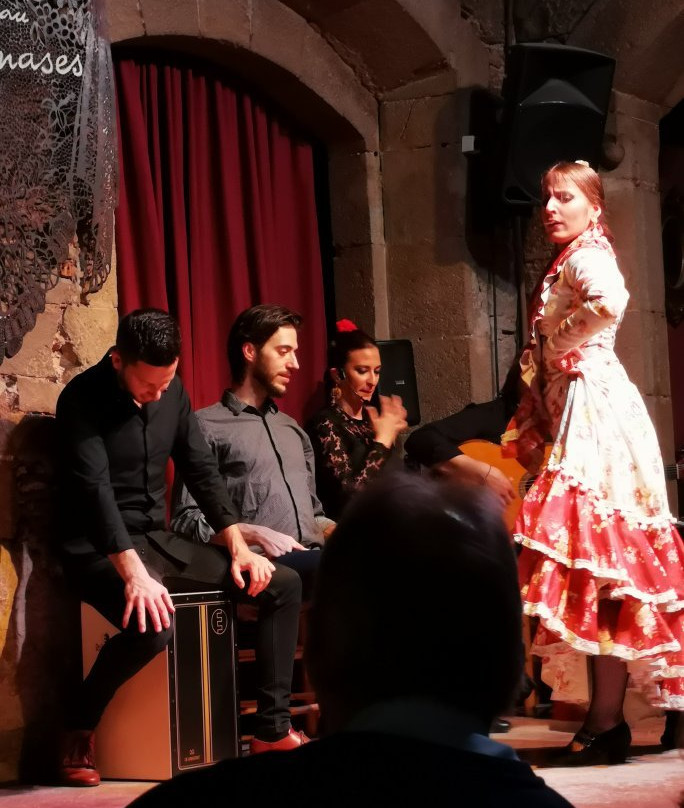 Palau Dalmases Flamenco 剧场景点图片