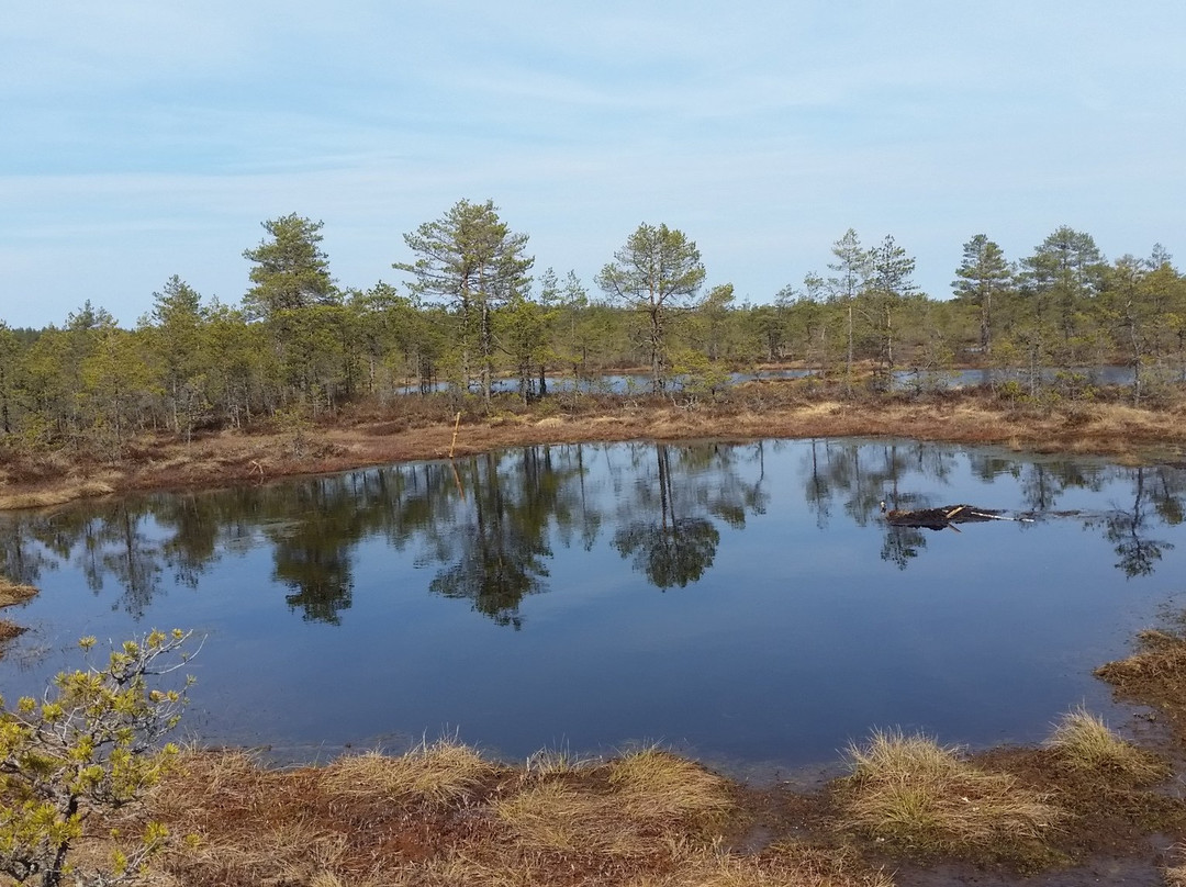 Viru Bog Trail-Kolga必去景点