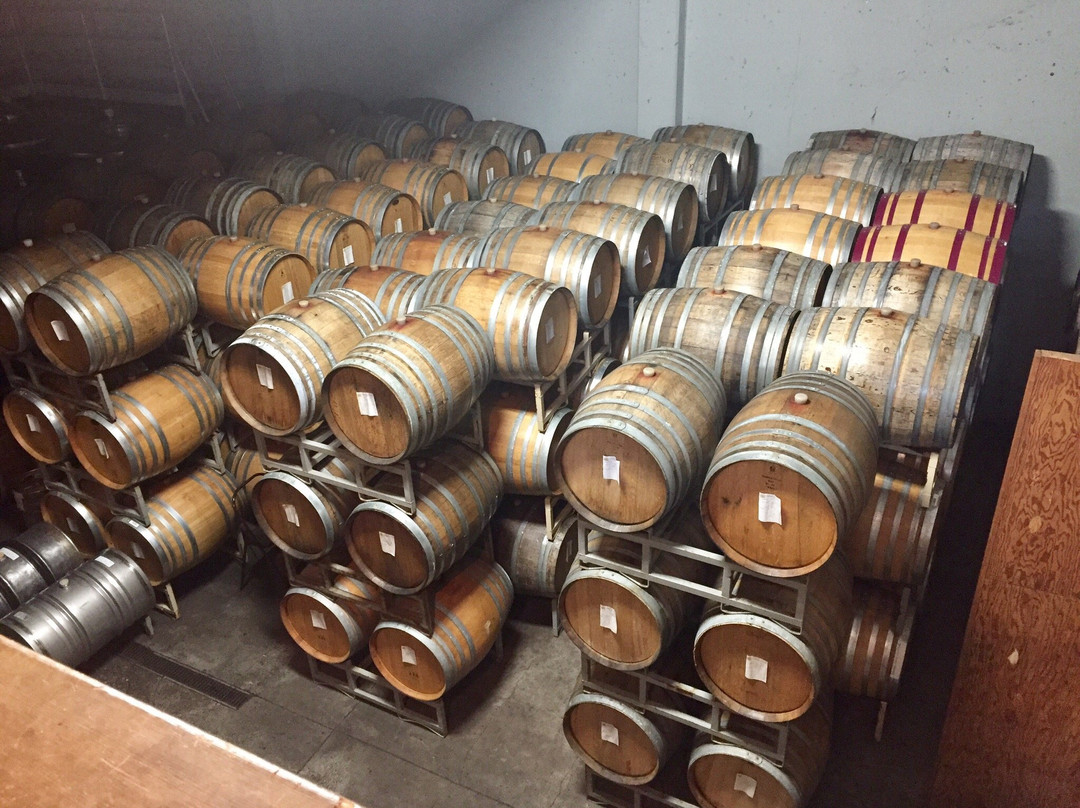 Yamhill Valley Vineyards-麦克明维尔必去景点