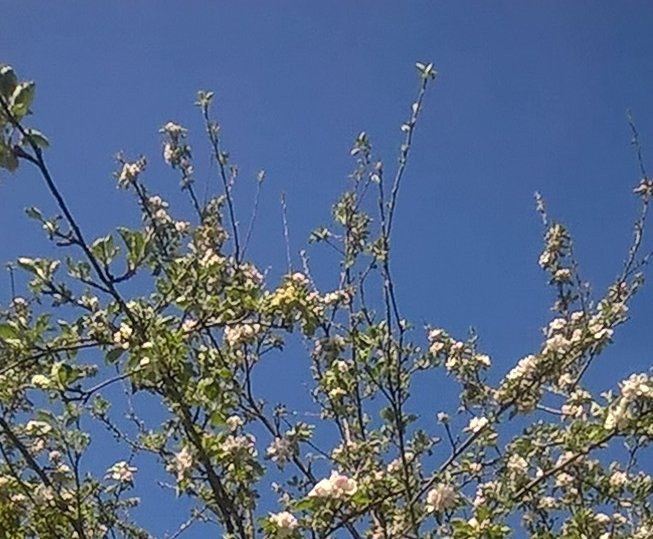 Thwaite Mills-利兹必去景点