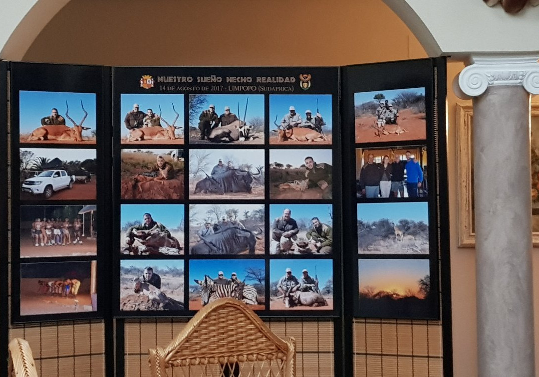 克鲁策酒店主图