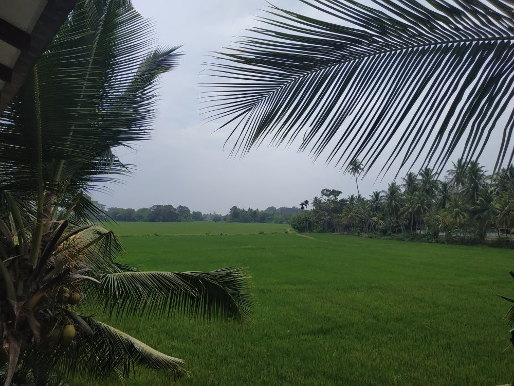 Dumi's Place - Ranna主图