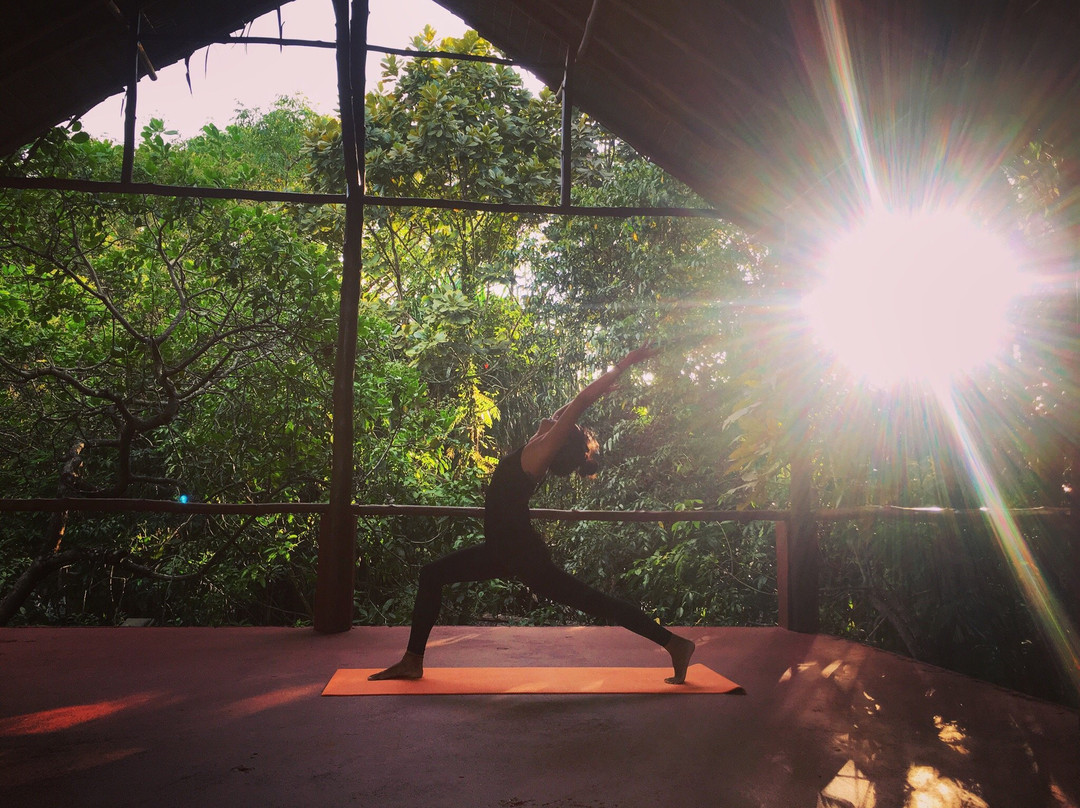 PAUSE - Surf & Yoga House景点图片