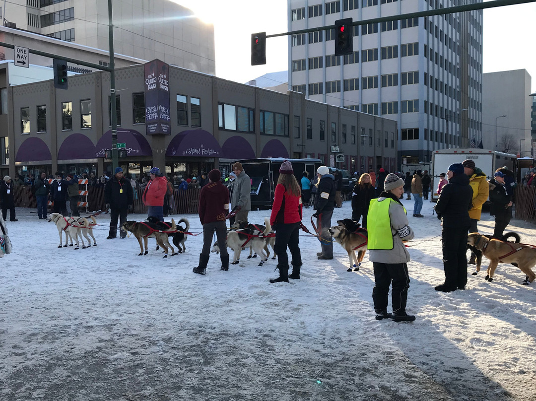 Iditarod Trail Sled Dog Race-安克雷奇必去景点