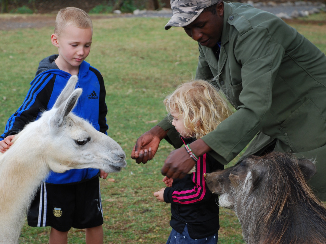 费尔蒙特山肯尼亚野生动物园俱乐部酒店主图