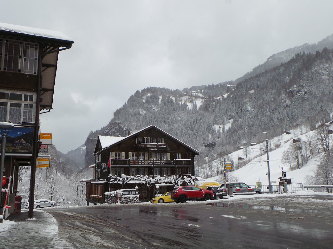 Hotel Steinbock主图