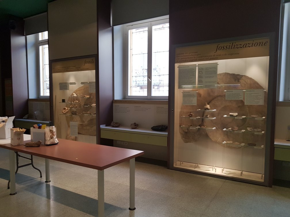 Teatro delle Scienze e Planetario景点图片