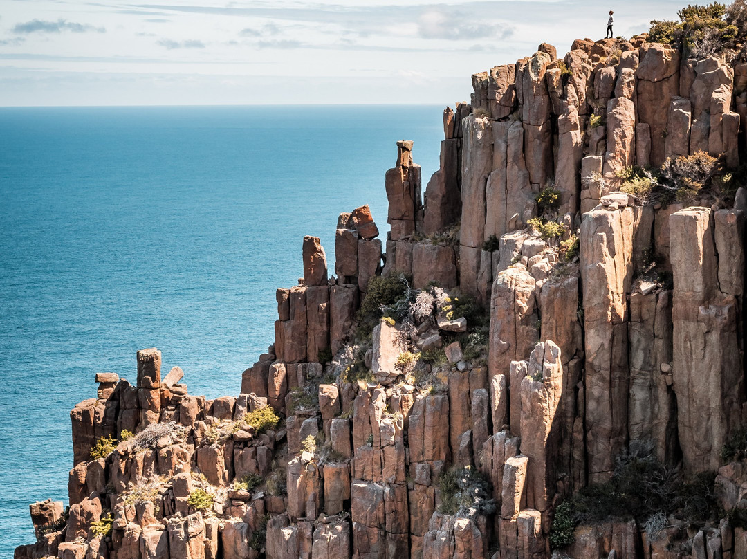 Cape Raoul-亚瑟港必去景点