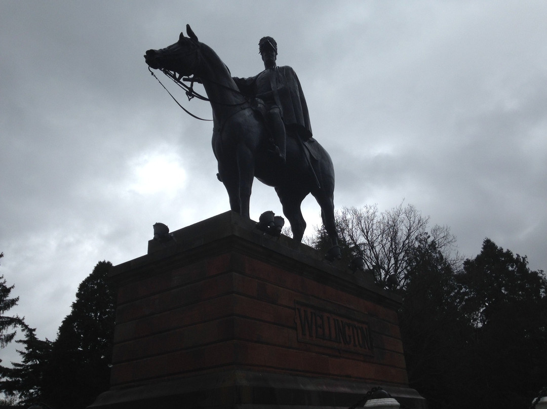 Equestrian Statue of the Duke of Wellington景点图片