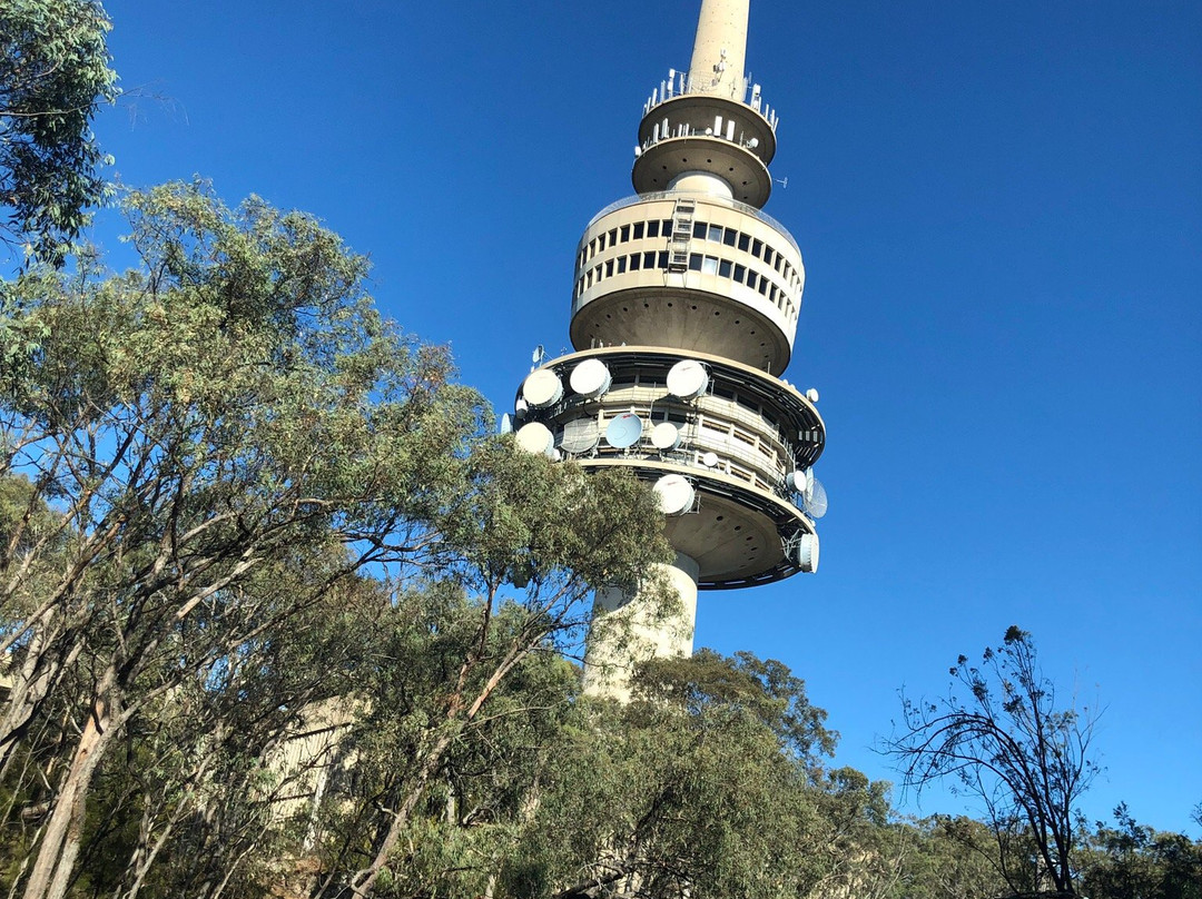 Telstra Tower景点图片