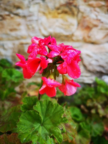 阿古维诺洛弗酒店主图