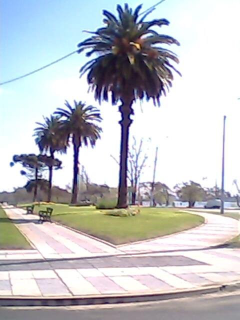 Rambla de Mercedes-Mercedes必去景点