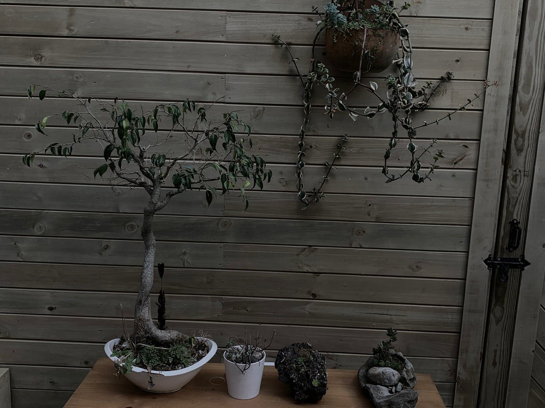 Monte Helicon Ecolodge And Spa主图