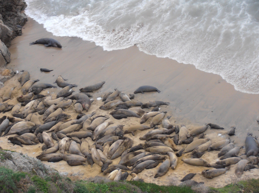 Chimney Rock Trail-红杉&国王峡谷国家公园必去景点