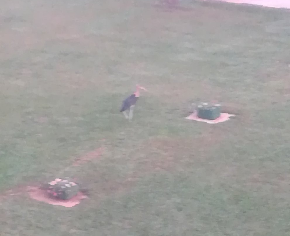 Las Vegas Garden Hotel主图