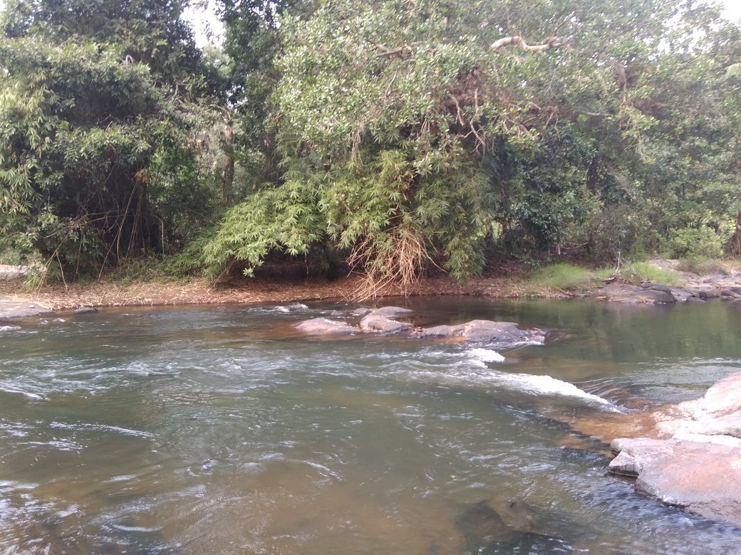 Peruvannamuzhi Dam-科泽科德必去景点
