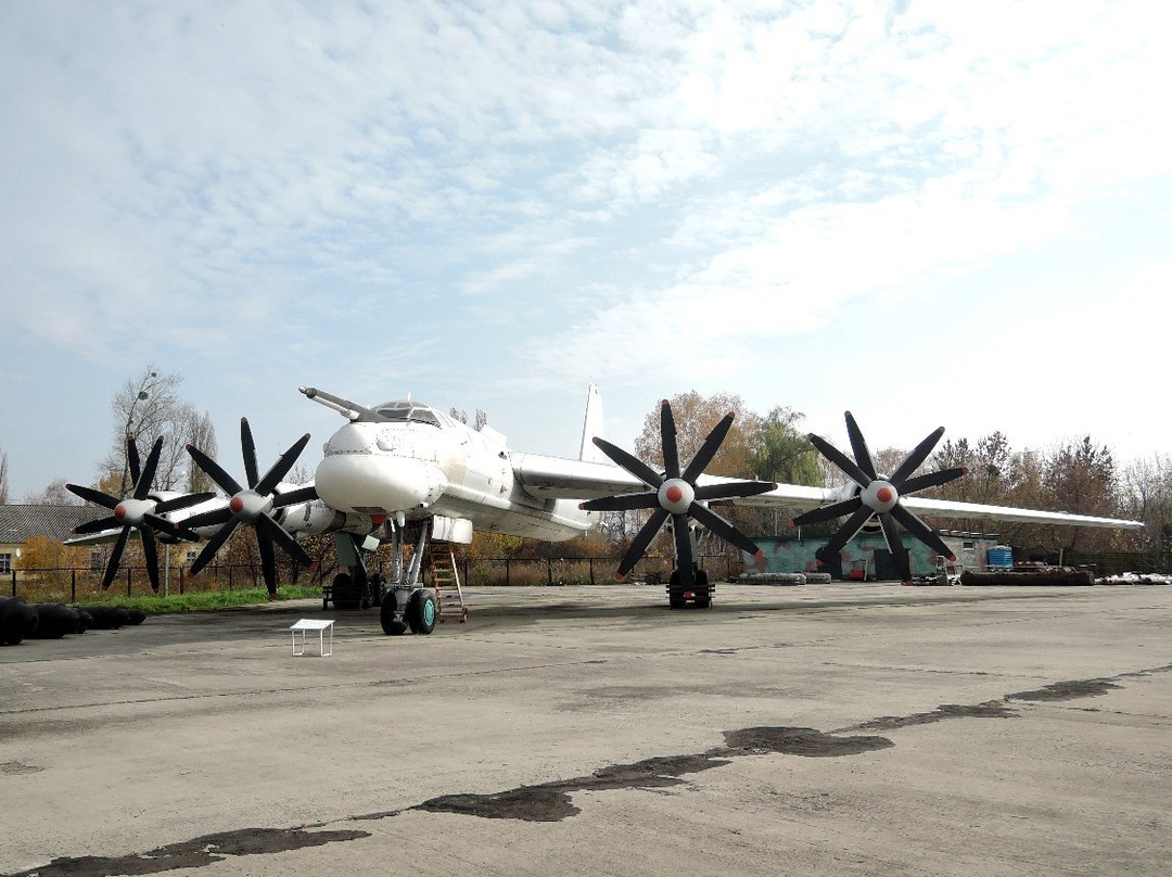 Long-Range Strategic Aviation Museum景点图片