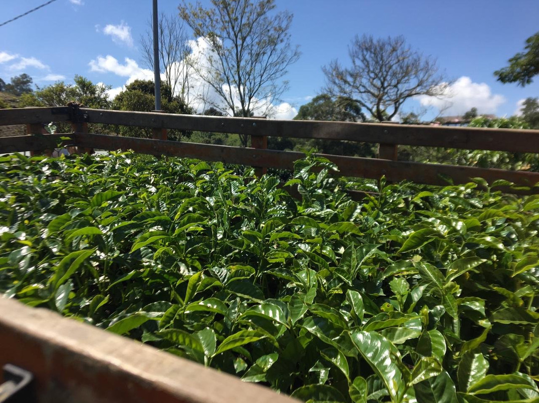 Cafe Hacienda Horizontes-Marsella必去景点