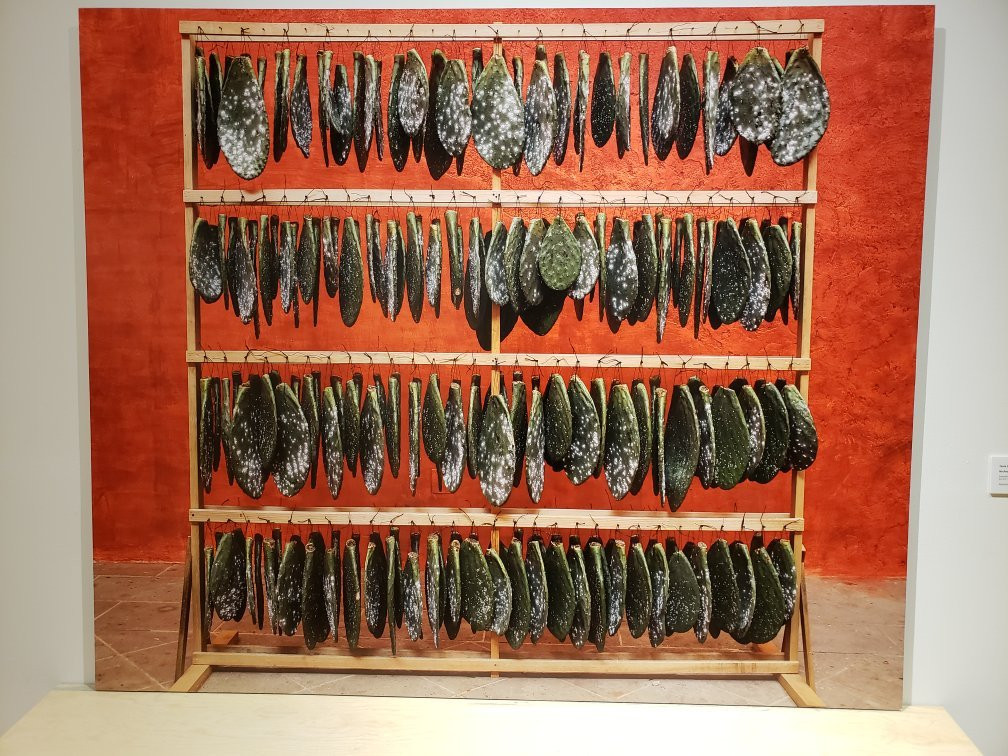 Musas Museo De Arte De Sonora-埃莫西约必去景点