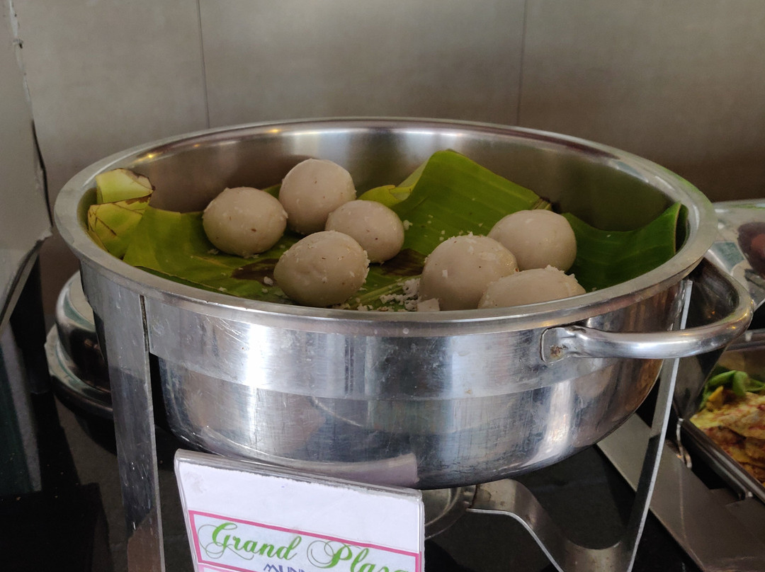 格兰德蒙纳广场酒店主图