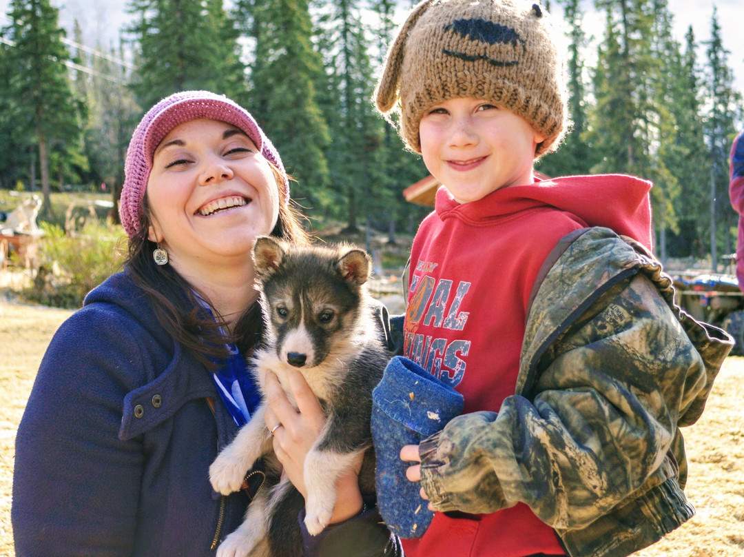 Husky Homestead-德纳利国家公园和自然保护区必去景点