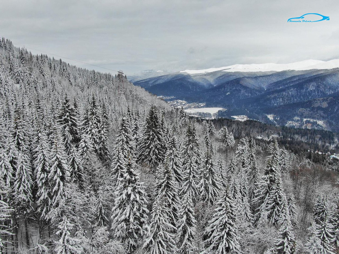 Romania Driver and Guide-布加勒斯特必去景点