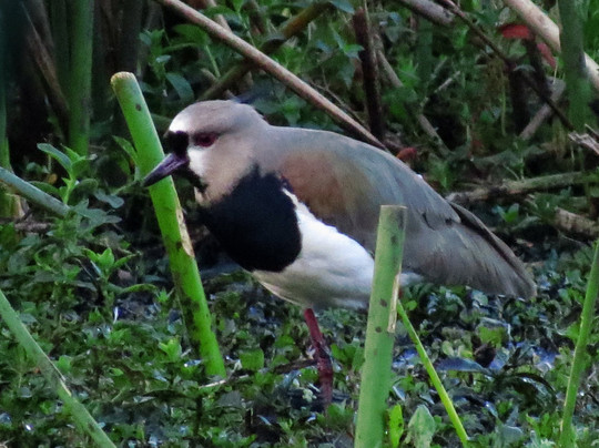 Parque Regional La Florida-波哥大必去景点