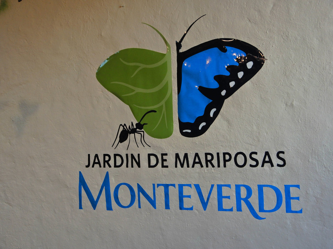 Monteverde Butterfly Garden (Jardin de Mariposas)景点图片