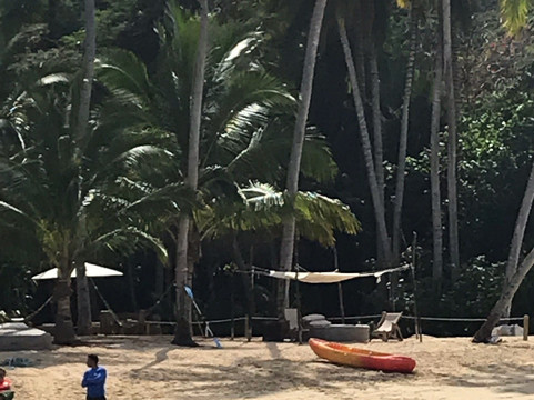 Marietas Islands-瓦拉塔港必去景点