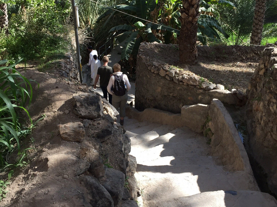 Al Misfah kindergarten主图