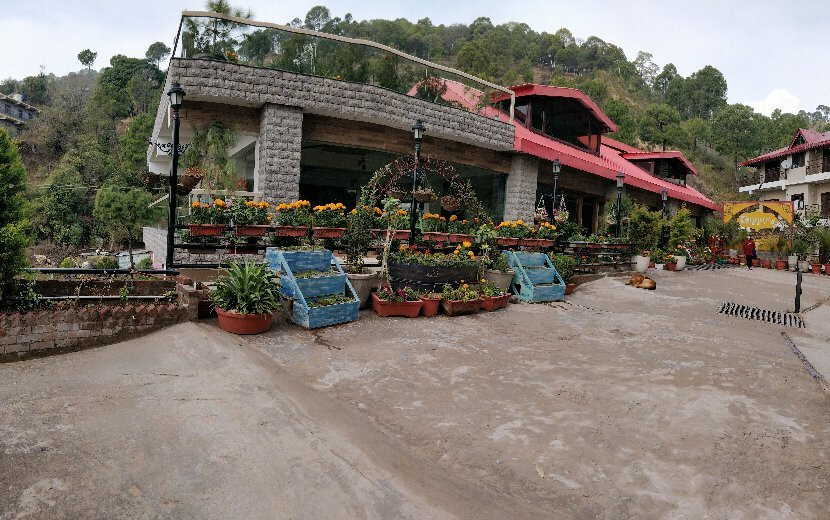 Dippy's The Boutique Hotel主图