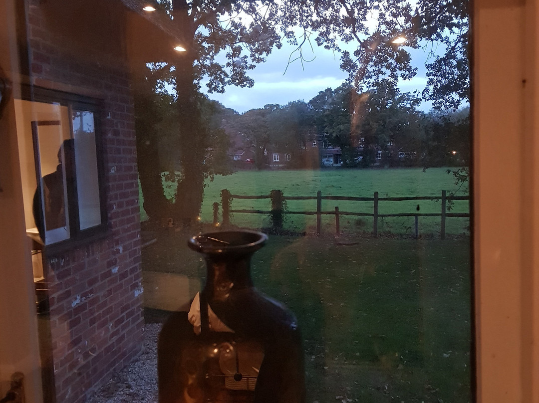 The Pilgrim Inn Marchwood主图