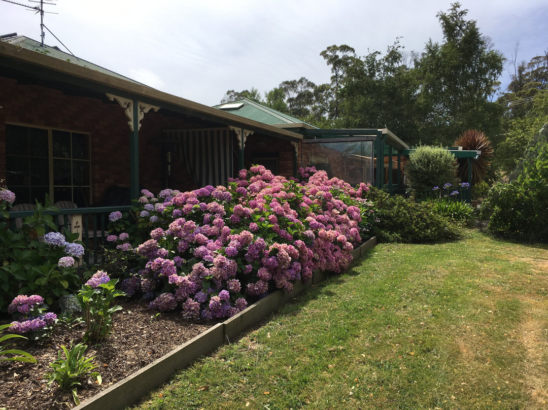 绿山墙的床和早餐 酒店主图