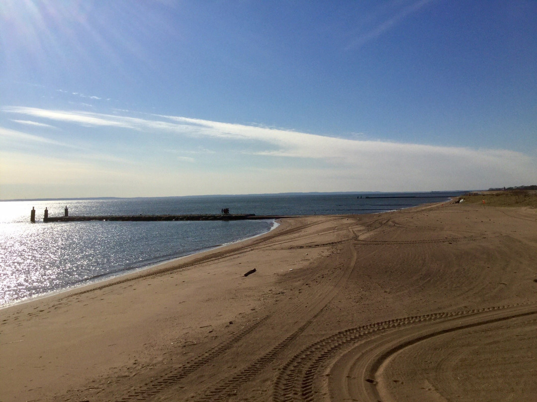 Franklin D. Roosevelt Boardwalk and Beach景点图片