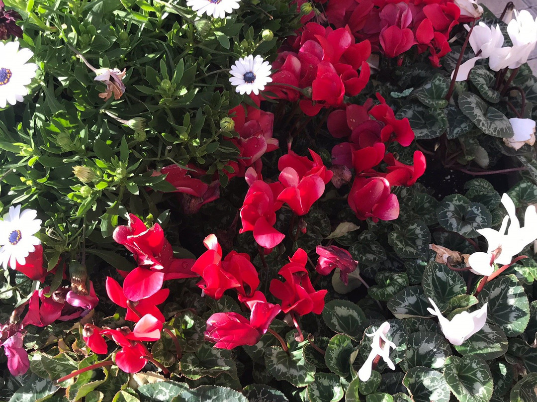 Valencia Town Center-圣克拉丽塔必去景点