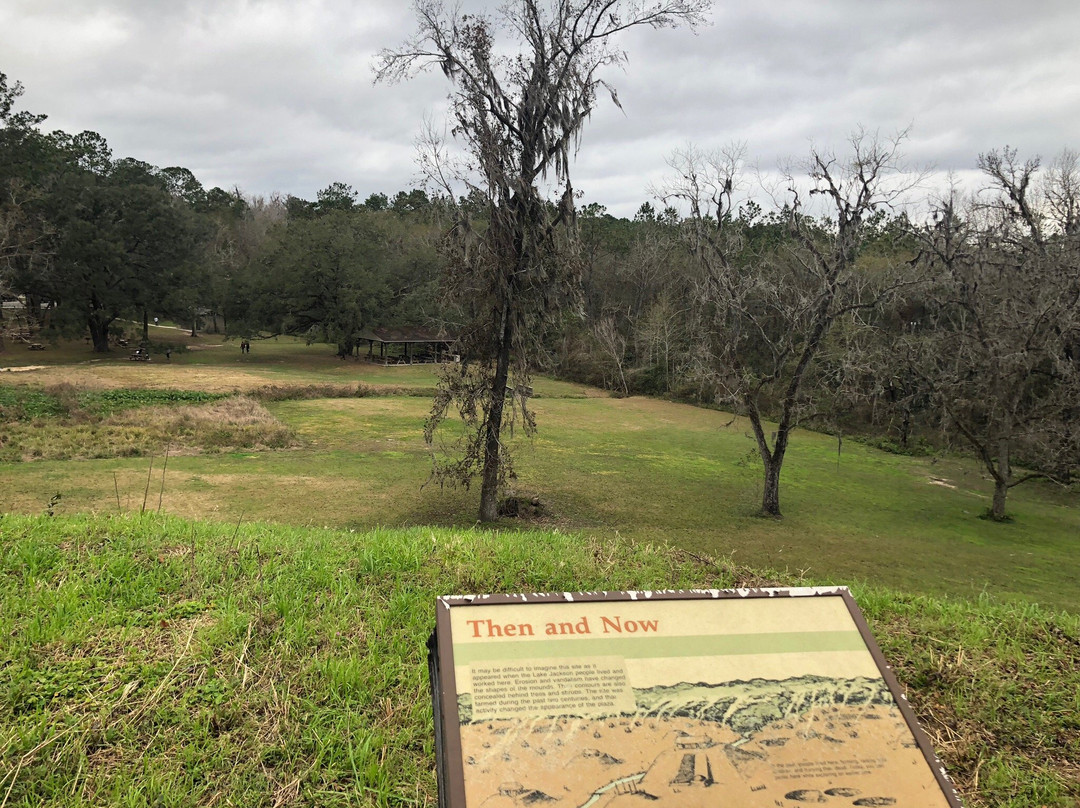 Lake Jackson Mounds Archaeological State Park景点图片