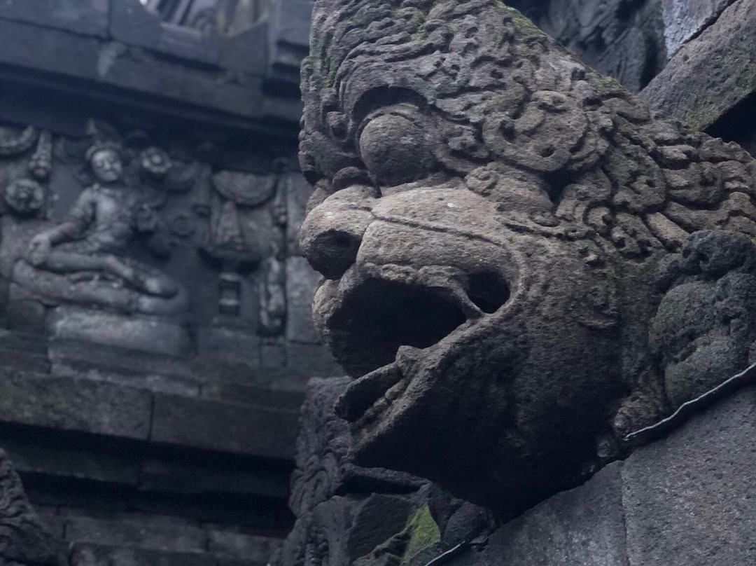 Losari Tours and Travel - Day Tours-日惹必去景点