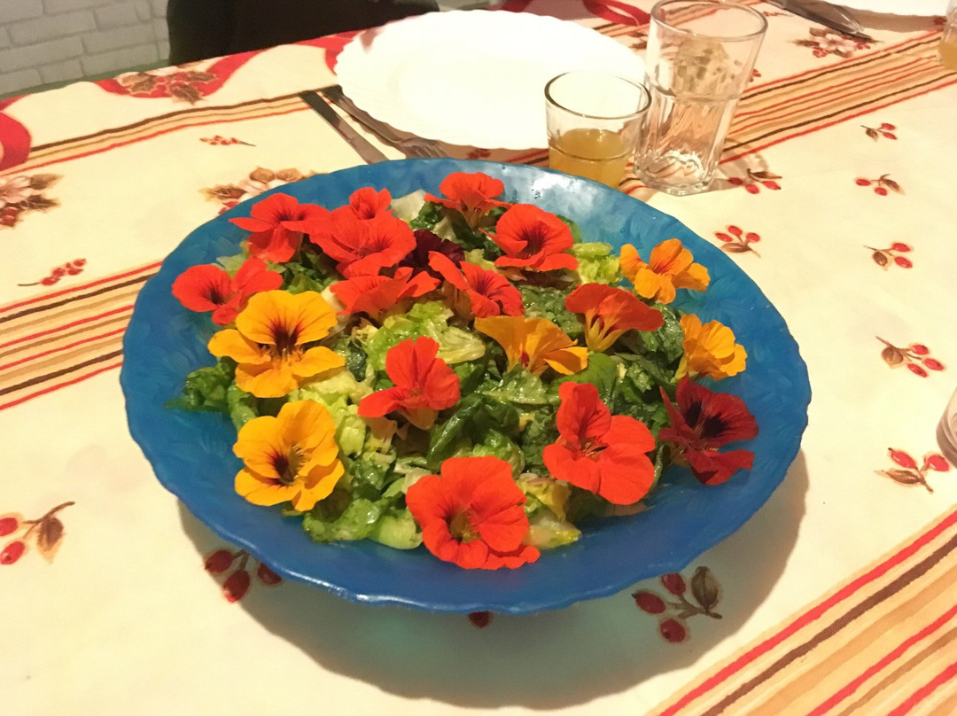 Gite Expedit Orchidee Sauvage主图