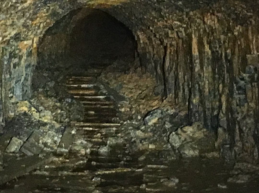 MannCave Distilling Inc.-Weston必去景点