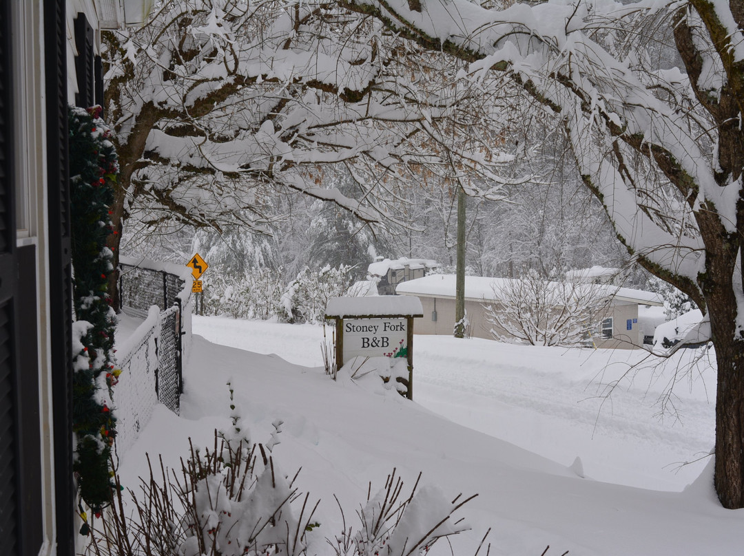Stoney Fork Campground and B&B主图
