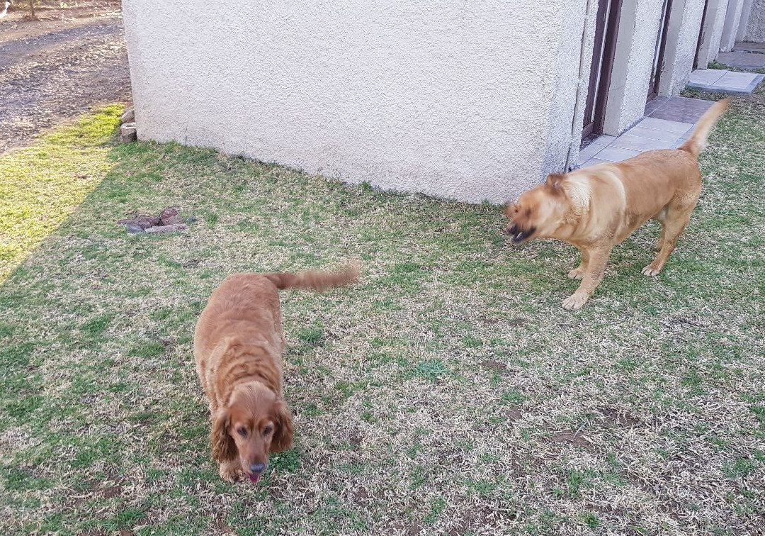 Van Zylsvlei B&B主图