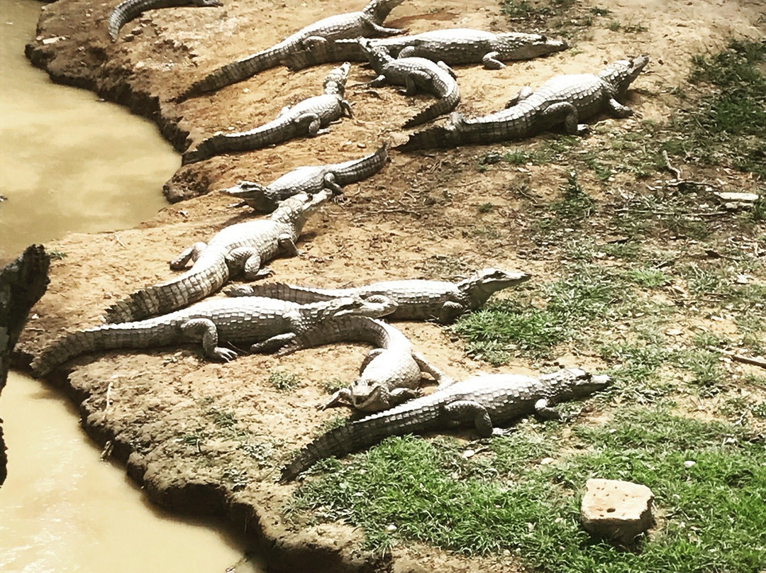 Ecolodge Juan Solito主图