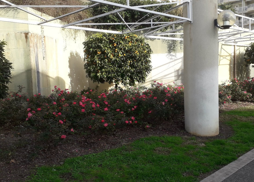 Parc Exflora-安提贝必去景点