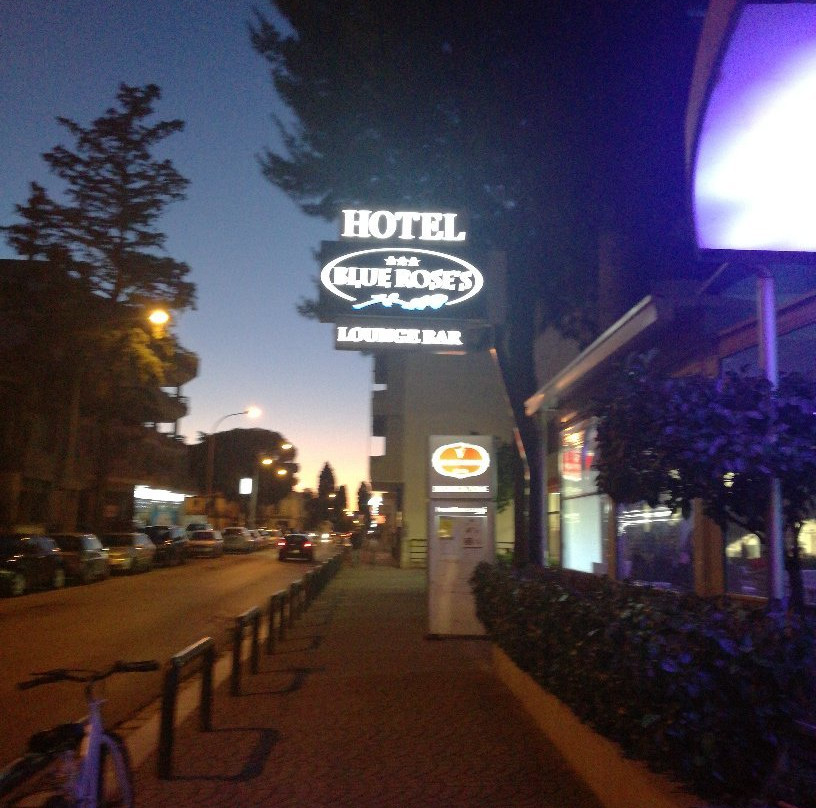 Hotel Blue Rose's主图